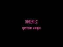 Torrente X - Operacion  Vinagra