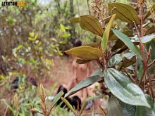 Volviendo para más sexo en la montaña con Annie Marin