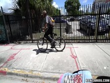 Todo en el jardín de Eden